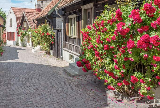 Turku-Visby Risteilyt