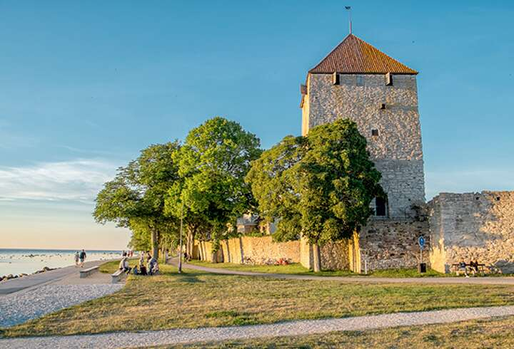 Turku-Visby Risteilyt